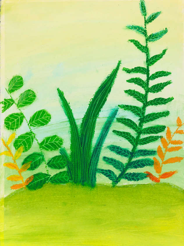 Draw a green background on sketch paper