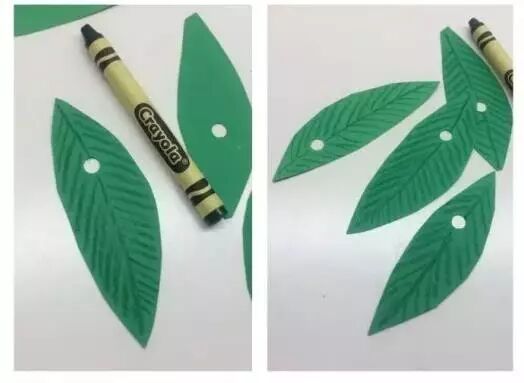 Prepare green leaves