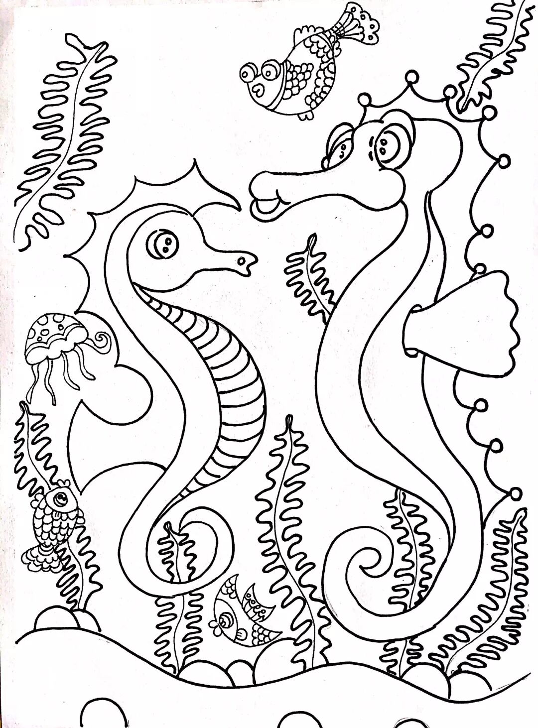 Seahorse Line Drawing
